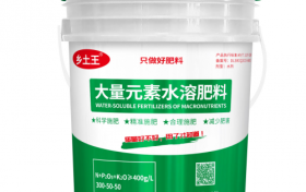 乡土王龙芳君：坚守初心，用匠心铸就品牌传奇