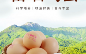 “享裕”创始人顾全科先生：以专业深耕蛋鸡养殖，用责任守护食品安全